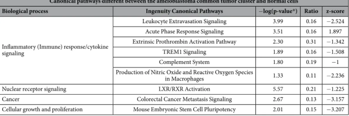 Table 1.   Canonical pathways differentially expressed in ameloblastoma clusters. * p-value   <    0.05.