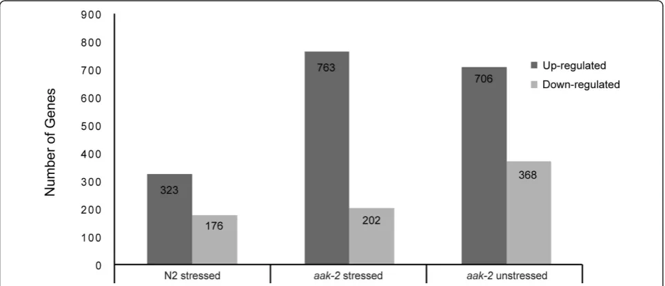 Figure 1 Genes with statistically significant differential gene expression. Number of genes significantly up or down-regulated in stressedwild type, stressed aak-2 mutants, and unstressed aak-2 mutants relative to unstressed wild type used as a control