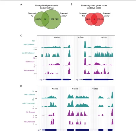 Figure 3 Number of commonly or statistically differentially regulated genes in wild type andmuch more highly expressed in stressed wild type and stressedstress and examplesgreater or less than |0.7|, p-val < 0.01), but showed negligible changes (i.e