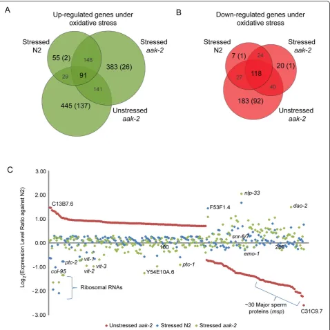 Figure 4 Commonly differentially regulated genes in unstressedunstressedas indicated by the red dots, but slightly up regulated on average in stressed wild type and stressed aak-2 and stressed aak-2 and transcriptional changes specific to aak-2 mutants