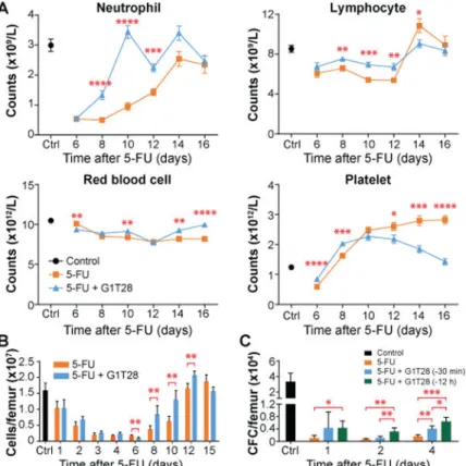 Fig. 2. Transient G 1  arrest by G1T28 pretreatment accelerates hematologic recovery after single  dose 5FU treatment