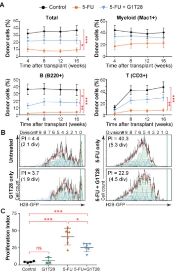 Fig. 5. Transient CDK4/6 inhibition protects long-term HSC function against serial 5FU  treatment by reducing overall proliferative burden