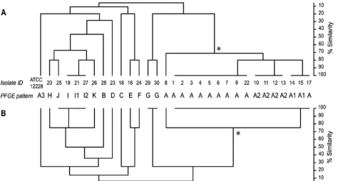 FIG. 3. Cluster analysis on the basis of MLVA data demonstrating the congruence of results obtained by MLVA and PFGE typing