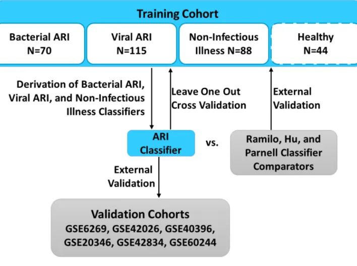 Fig. 1. Experimental flow