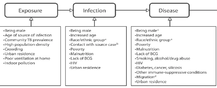 Figure 1.3 Risk factors for different stages of TB disease continuum. 