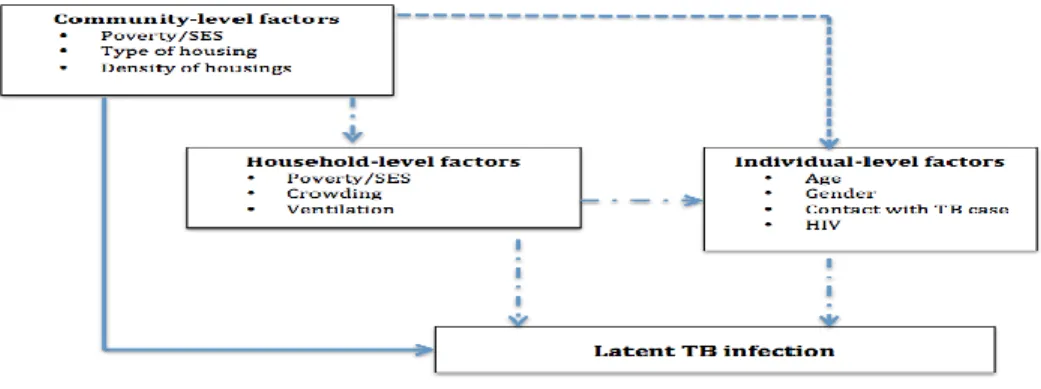 Figure 1.4 Conceptual framework of factors associated with LTBI  