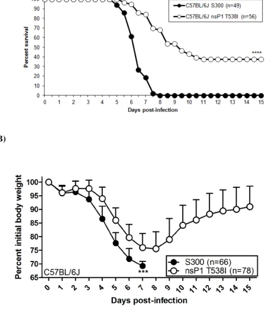 Figure 2.1:  The mutant virus nsP1 T538I is attenuated in C57BL/6J mice as compared  to S300 wild-type virus