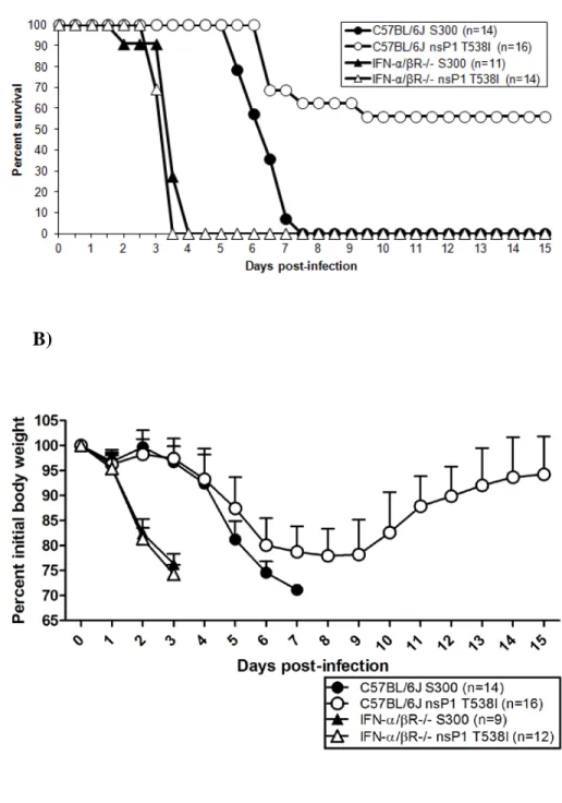 Figure 2.2:  Both S300 and nsP1 T538I show equivalent and enhanced virulence in the  absence of the IFN-α/β response