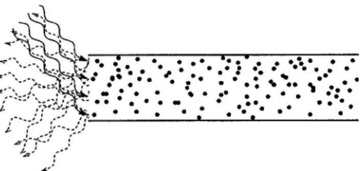 FIG. 1. Sketch of a waveguide containing a randomly scattering medium and illuminated by a monochromatic plane wave