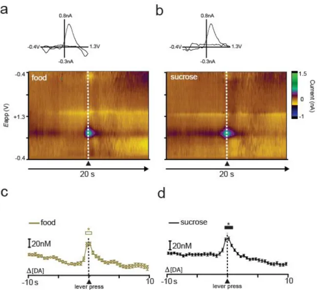 Figure 2.4. Example of dopamine release for one animal during performance of the sucrose/food  multiple schedule
