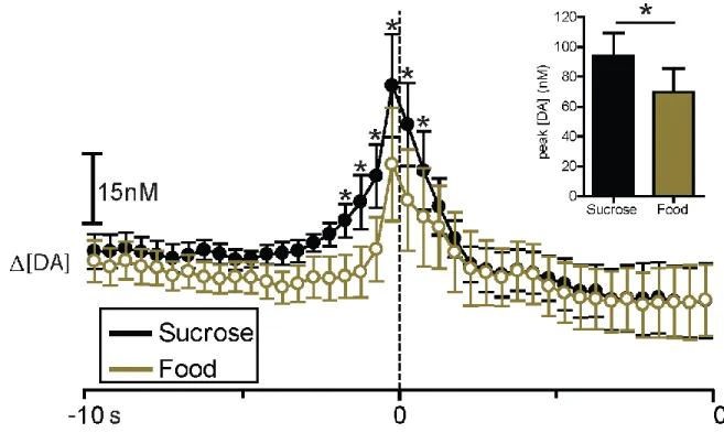 Figure  2.5.  Sucrose and food self-administration evoke rapid  DA release in  the NAc core