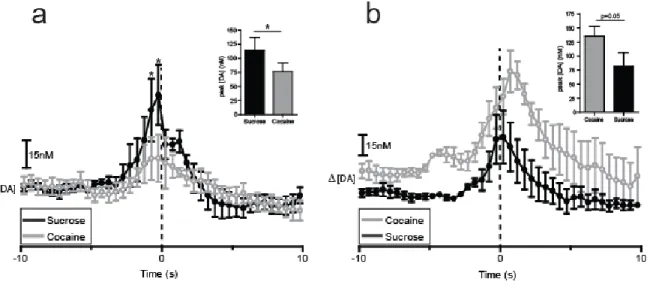Figure  2.6.  DA  traces  divided  by  order  of  sucrose/cocaine  multiple  schedule