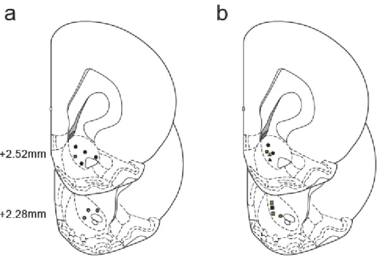 Figure  2.10.  Histology.  Schematic  representation  of  electrode  tip  placements  in  the  NAc  core