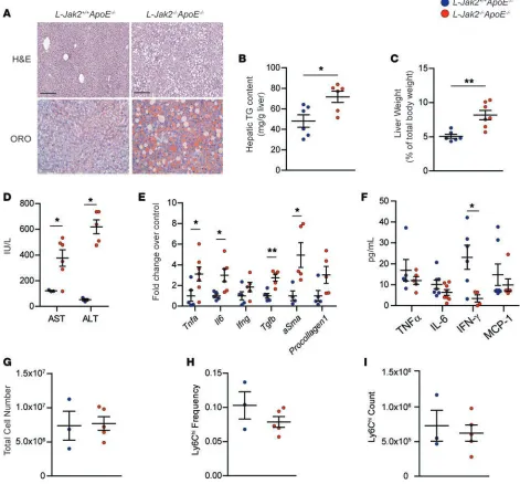 Figure 2. L-Jak2expression of genes encoding inflammatory markers (L-Jak2alanine aminotransferase (ALT) in to total body weight in poE(TG) content in α–/–ApoE–/– mice develop profound hepatic steatosis