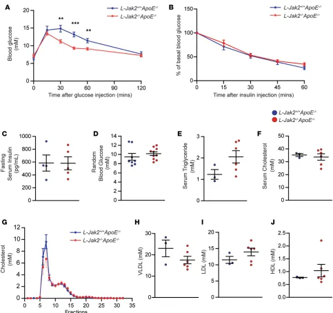 Figure 3. L-Jak2sured sequentially for 120 minutes. (chromatography (FPLC) and total serum VLDL, LDL, and HDL cholesterol were quantified from FPLC serum lipoprotein profiles from mean ± SEM