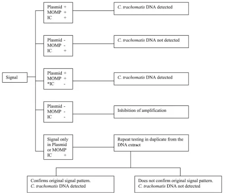 FIG. 1. Algorithm for interpretation of assay results. Plasmid, MOMP, and IC represent the three components of the assay