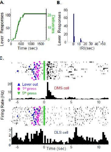 Figure 2.2: FR5-reinforcement schedule: alcohol self-administration behavior and neuronal  firing patterns from a representative rat