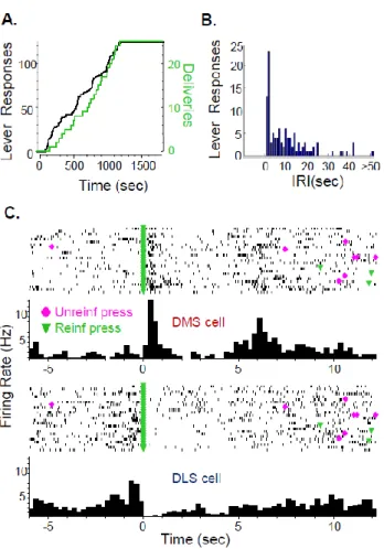 Figure 2.5: VI30-reinforcement schedule: alcohol self-administration behavior and neuronal  firing patterns from a representative rat