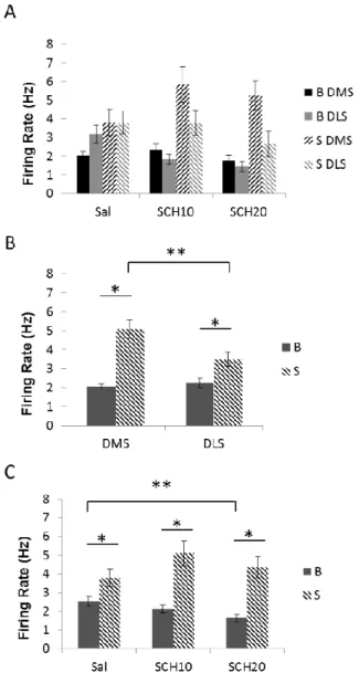 Figure 3.2: Mean neuronal firing rates during baseline in the 60s prior to cue onset (B, solid  bars) and the mean signal in the 0.5s after each of the two cue onsets (S, hashed bars) are  displayed (A) for the DMS (black) and DLS (grey) and grouped by dos