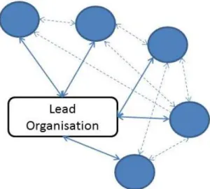 Figure 2: Lead  Organisation  Network  Design 