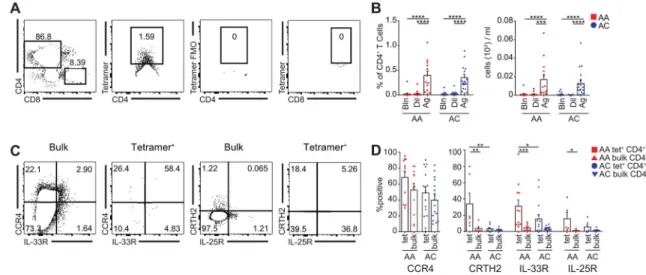 Fig 3. Phenotyping of allergen-specific CD4 +  T cells