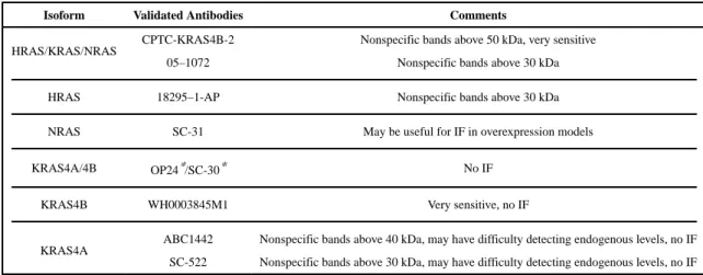 Table 2 Validated RAS antibodies