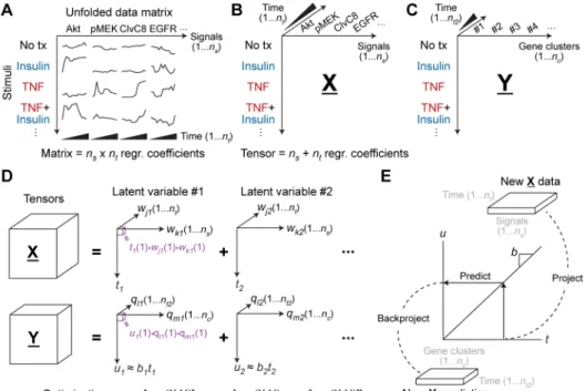 Fig. 2. Structuring and modeling biological data sets as tensors