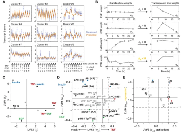 Fig. 3. A tensor PLSR model linking ligand-induced signaling and changes in transcript  abundance