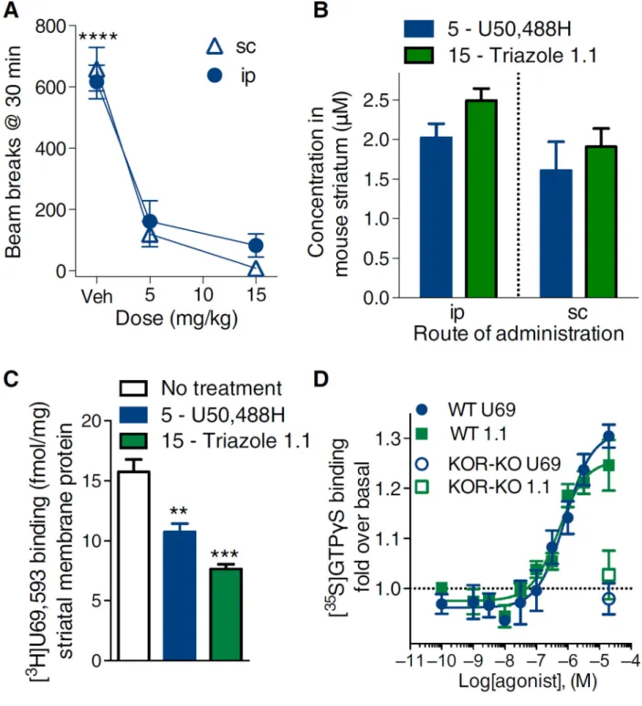 Fig. 3. Triazole 1.1 and U50,488H are present in striatum at comparable amounts where they  activate KOR-mediated G protein signaling in striatum