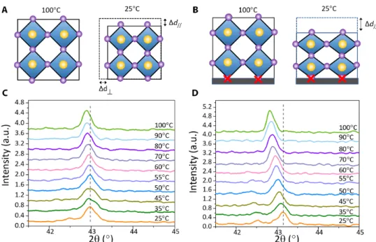 Fig. 2. Schematic diagram and XRD of the strain formation process. (A) Without substrate, the perovskite forming at 100°C contracts vertically and laterally during cooling