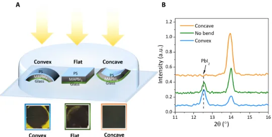 Fig. 3. Strain impact on perovskite film stability. (A) Schematic diagram of the experimental setup of the films with different strains and photographs of the films with different strains after 500-hour illumination