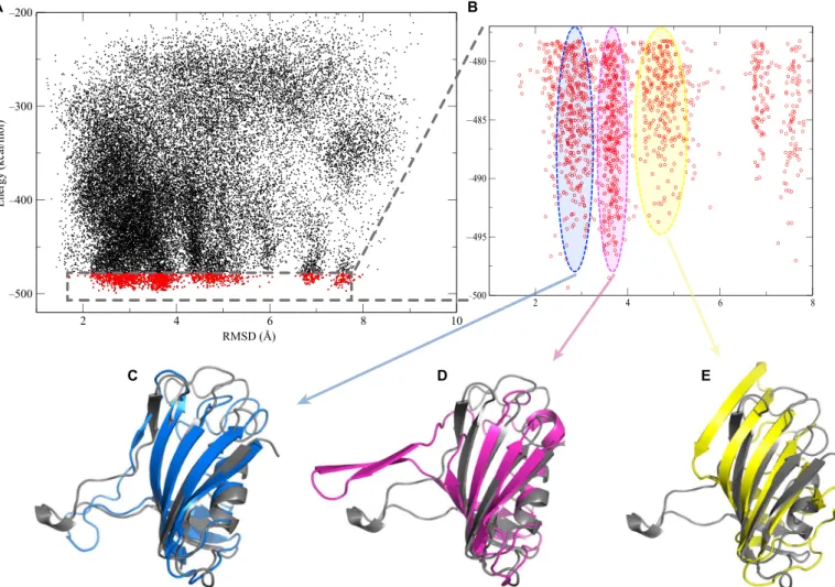 Fig. 2. CL-DMD modeling of FKBP. (A) Scatter plot of the Medusa force field energy versus the RMSD (in angstroms) from the x-ray structure obtained from a CL-DMD simulation of FKBP with external experimental short-distance cross-linking constraints