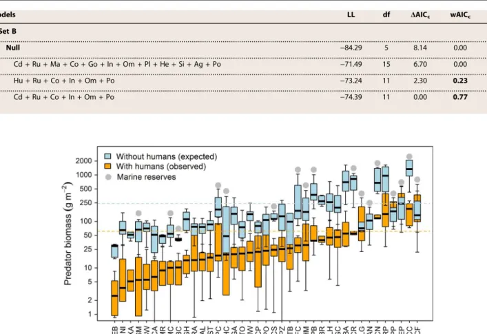 Fig. 3. Estimated biomass of predatory reef fish in the absence of human activities. Boxplot of the observed (orange) and predicted (light blue) median (50 and 99% quartiles) of predatory reef fish biomass across survey sites (ordered from lowest to highes