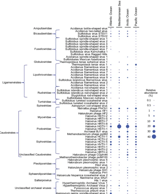 Fig. 2. Archaeal viruses in the viromes. Relative contribution (expressed as percentage) of the sequences belonging to each archaeal virotype to the total number of sequences of archaeal viruses identified in each virome from the different sampling sites.