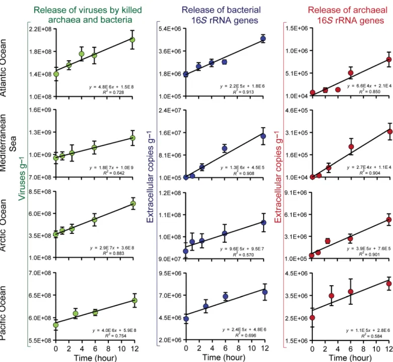 Fig. 3. Release of bacterial and archaeal genes due to viral lysis. The panel shows the release of viruses from killed archaea and bacteria (left column) and consequent shift of the 16S rRNA genes from bacteria (central column) and archaea (right column) t