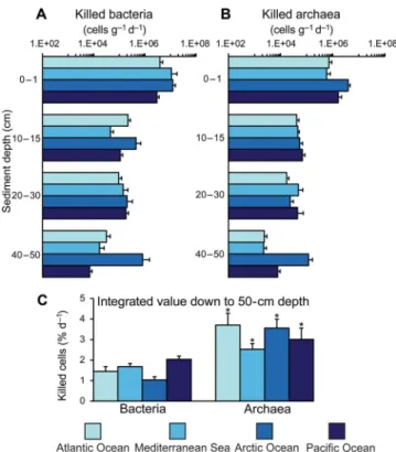 Fig. 6. Virus-induced mortality of bacteria and archaea. Reported are average values and SDs of the virus-induced mortality of bacteria (A) and archaea (B) along vertical profiles at depth intervals of 0 to 1, 10 to 15, 20 to 30, and 40 to 50 cm, and the i