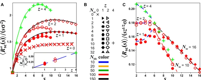 Fig. 4. Size of side chains of bottlebrushes in a melt. (A) Dependence of the rescaled values of the mean square distance of a side-chain monomer s from the grafting point 〈R 2 sc ðsÞ〉=ðss 2 Þ for side chains with N sc = 10 and N sc = 16 monomers as a func