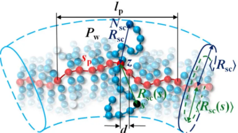 Fig. 5. Geometry of a bottlebrush polymer. A bottlebrush is composed of z side chains with N sc monomers each grafted to every backbone monomer (z = 2 in this figure)