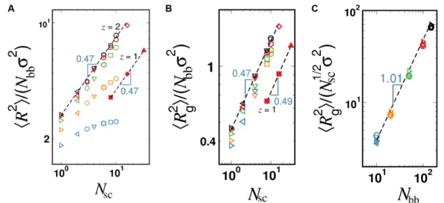 Fig. 7. Size of bottlebrushes in a melt. Mean square end-to-end distance 〈R 2 〉 (A) and mean square radius of gyration 〈R 2 g 〉 (including side chains) (B) of bottlebrushes in a melt normalized by the ideal mean square size of backbones N bb s 2 as functio