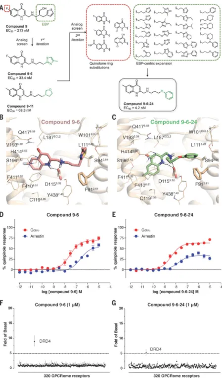 Fig. 4. Structure-guided optimization of potent DRD4 agonists