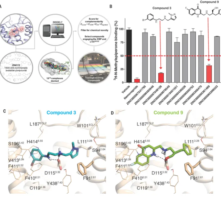Fig. 3. Discovery of a new DRD4 selective agonist