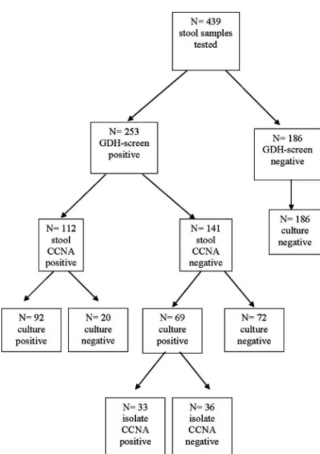 FIG. 1. Results of testing for toxigenic Clostridium difﬁcile.