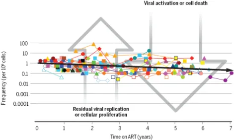 Fig. 2. Persistent, latent infection of memory CD4 cells decays slowly over time