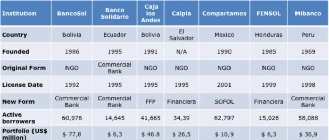 Table 10: Institutions Involved in the Survey  Source: Rhyne (2002) 