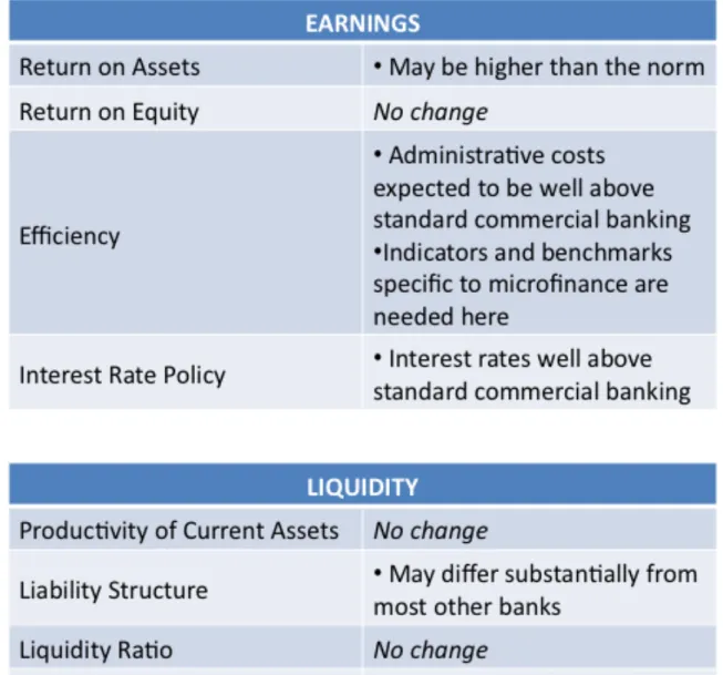 Table 11: ACCION CAMEL Key Indicator 95 Source: Rhyne (2002), p.5­6 