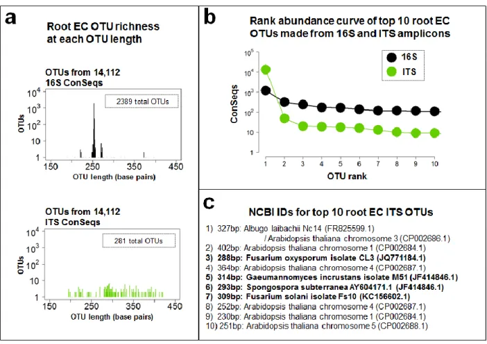 Figure 3.17. Universal PCR primers can be used to amplify and barcode other  tagged templates