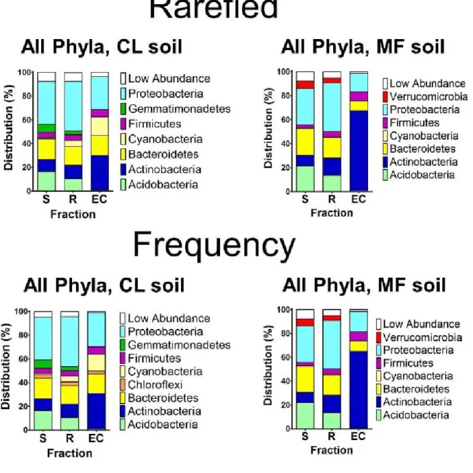 Figure 2.19. Phyla in each sample fraction by soil type. 