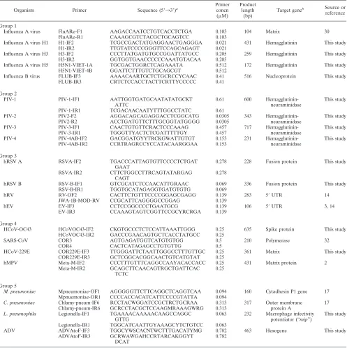 TABLE 2. Primers used in the second round of multiplex nested PCR
