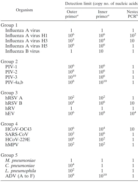 TABLE 3. Performance of individual and nested primer pairs inthe corresponding multiplex nested PCR assay group