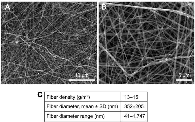 Figure 1 SEM images of nonmodified PLA membranes.Notes: Quanta 450 scanning electron microscope FEI, magnification 2,000× (A), magnification 10,000× (B)